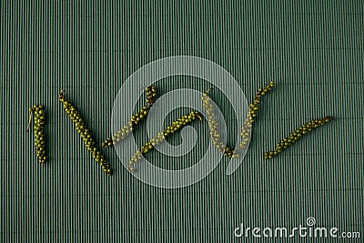 pepper With corrugated green paper Stock Photo