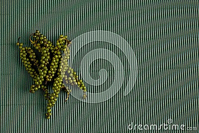 pepper With corrugated green paper Stock Photo