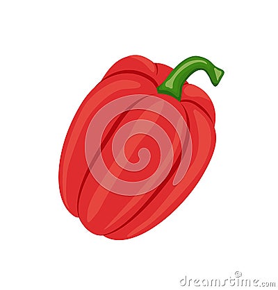 Pepper Fresh Homegrown Veggie Vector Illustration Vector Illustration