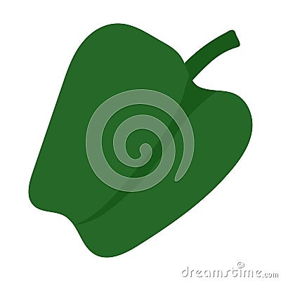 Pepper, green paprika. Green bell pepper. Suitable for culinary subjects, food, vegetables, infographics Vector Illustration