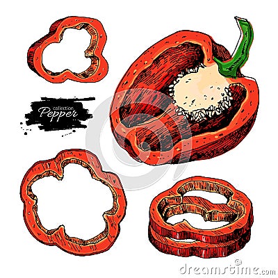 Pepper hand drawn vector set. Vegetable artistic style object, half and slices. Isolated bell pepper. Vector Illustration