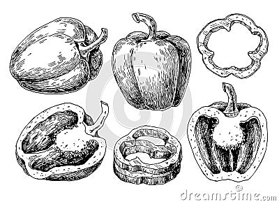 Pepper hand drawn vector set. Vegetable engraved style object, full, half and slices. Vector Illustration