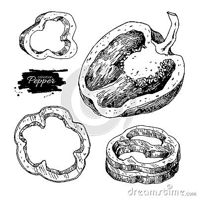 Pepper hand drawn vector set. Vegetable engraved style object, h Vector Illustration