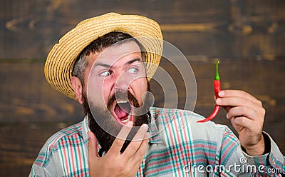 Pepper harvest concept. Rustic farmer in straw hat likes spicy taste. Man hold pepper harvest. Bearded farmer hold Stock Photo