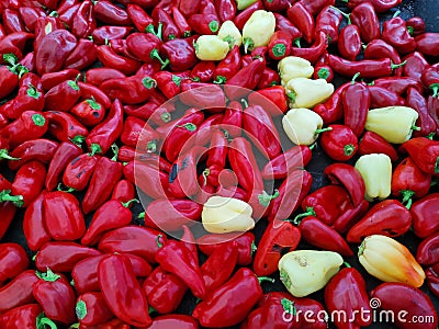 Pepper kapia and and capsicum on the hot plate Stock Photo