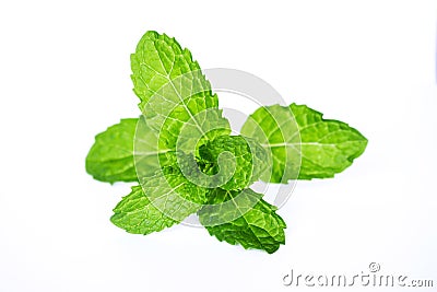 Pepper mint on isolated white Stock Photo