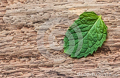 Pepper mint leaves on wood background Stock Photo