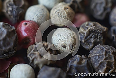 Pepper spice texture. Multicolored pepper corns, mix of colorful grains. Selective focus Stock Photo