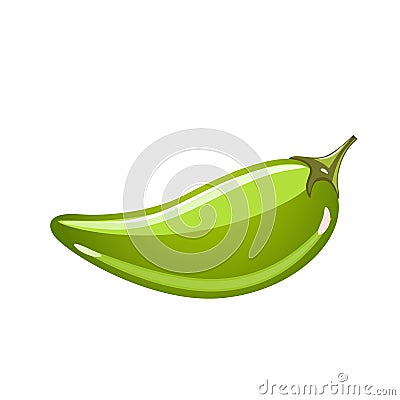 Pepper on white background Vector Illustration