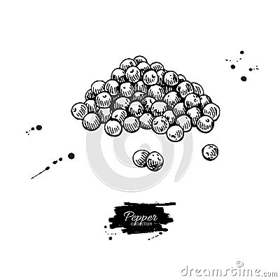Peppercorn heap vector drawing. Vintage hand drawn spice sketch. Vector Illustration