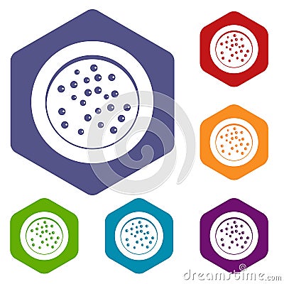 Peppercorns on a plate icons set hexagon Vector Illustration