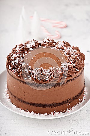 Peppermint chocolate cake Stock Photo