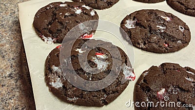 Peppermint Chocolate Cookies Stock Photo