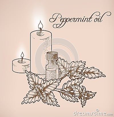 Peppermint essential oil and candles Vector Illustration