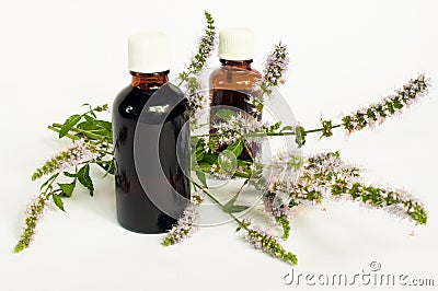 Peppermint flowers with mint essential oil in two small bottles Stock Photo