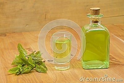 Peppermint plant, liqueur bottle and shot Stock Photo