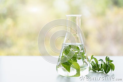 Peppermint spa treatments on white wooden table. Healthcare and body therapy massage relaxation concept. Beauty and Healthy theme Stock Photo