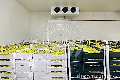 Peppers Cold Warehouse Stock Photo