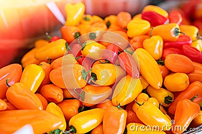 Peppers and healthy vegetables at local market Stock Photo