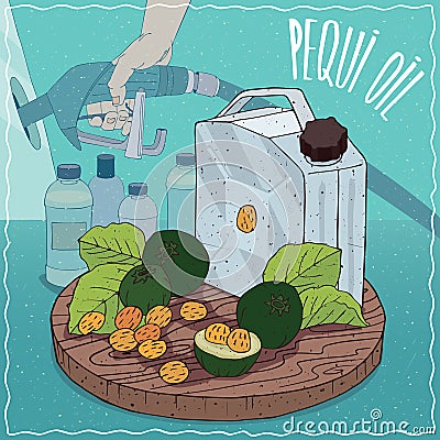 Pequi oil used for fuel production Vector Illustration