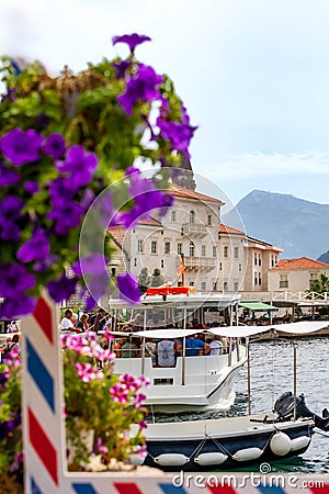 Houses of Perast, Montenegro and flowers Editorial Stock Photo