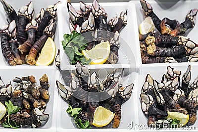 Percebes goose barnacles rare unusual seafood on display in Port Stock Photo