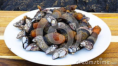 Percebes Gooseneck Barnacles on a Plate Stock Photo