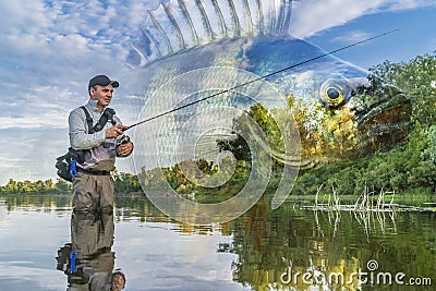 Perch fishing. Photo collage of angler in river water on soft focus perch fish background Stock Photo