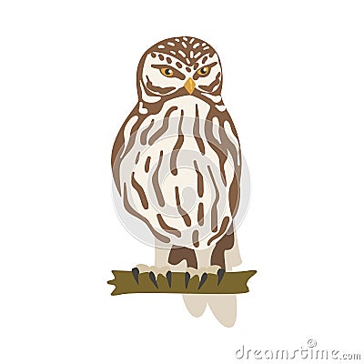 Perching Owl Bird with Broad Head and Sharp Talons Having Upright Stance Vector Illustration Vector Illustration