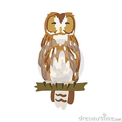 Perching Owl Bird with Broad Head and Sharp Talons Having Upright Stance Vector Illustration Vector Illustration