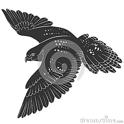 Peregrine Falcon Bird Flying Silhouette Stock Photo