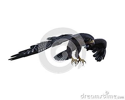 Peregrine falcon about to take off from perch. 3D rendering isolated on white with clipping path Cartoon Illustration