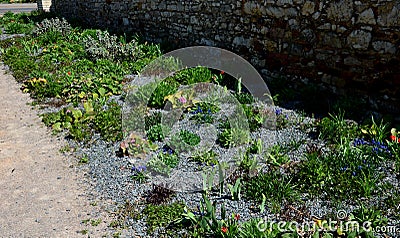 Perennial bed mulched with gray gravel in front of a limestone stone wall in a square with benches with wood paneling, beige path Stock Photo