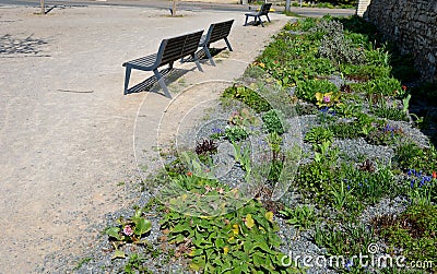Perennial bed mulched with gray gravel in front of a limestone stone wall in a square with benches with wood paneling, beige path Stock Photo