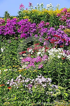 Perennial border Stock Photo