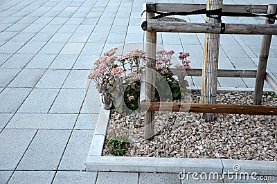 Perennial beds mulched with dark stone gravel with a predominance of ornamental grasses Stock Photo