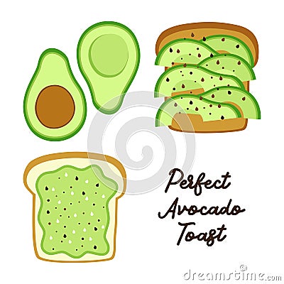 Perfect Avocado Toast as bread with slices and sandwich with mixed avocado and sesame seeds Vector Illustration