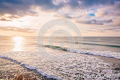 Perfect breaking barrel ocean wave. Landscape with sunrise colors Stock Photo