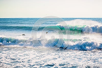 Perfect breaking blue wave and surfers Stock Photo