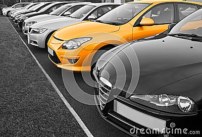 Perfect car selection Stock Photo