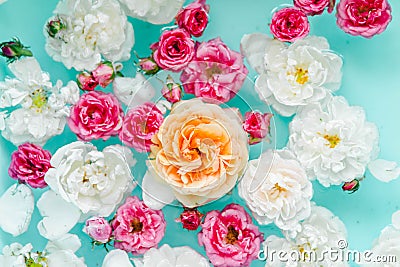 Perfect floral texture of colorful roses in water on blue background Stock Photo