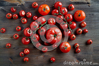 Perfect fresh different sort red tomatoes on a branch at wooden background from above. Stock Photo