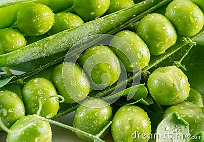 Perfect green peas in pea pod covered with water drops. Macro shot Stock Photo