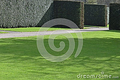 A perfect hedge in a country garden Editorial Stock Photo