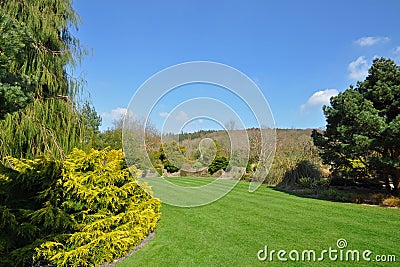 Perfect lawn Stock Photo