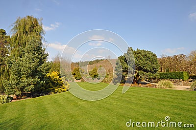 Perfect lawn Stock Photo