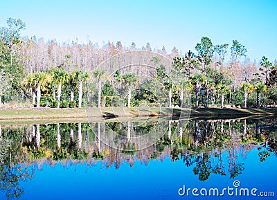 Perfect mirror reflection Stock Photo