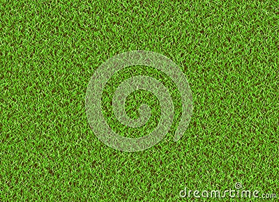 Perfect mown green lawn Stock Photo