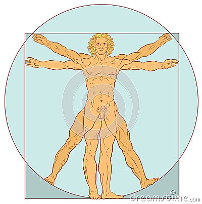 Perfect Proportions Vector Illustration