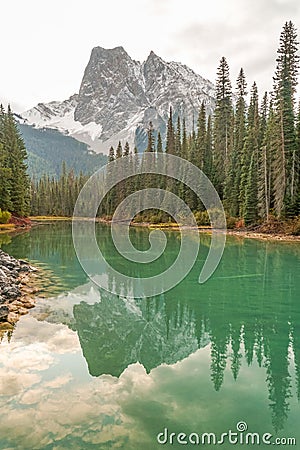 Perfect reflection of sharp mountain peaks and pine trees in the blue water of Emerald Lake - vertical Stock Photo